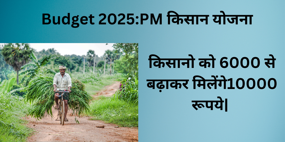 Budget 2025